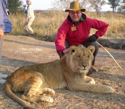 Happy Harry with young lion raised by guide