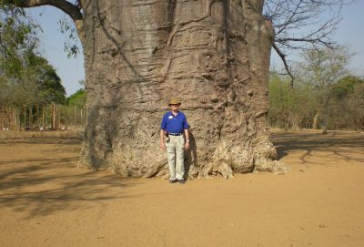 Happy Harry, with 2000-year-old tree