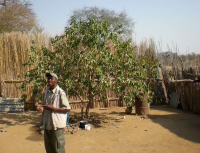 local guide at typical Namibian village