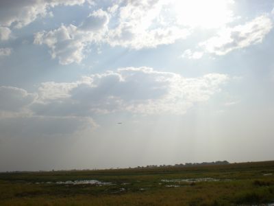 panoramic view of Chobe River